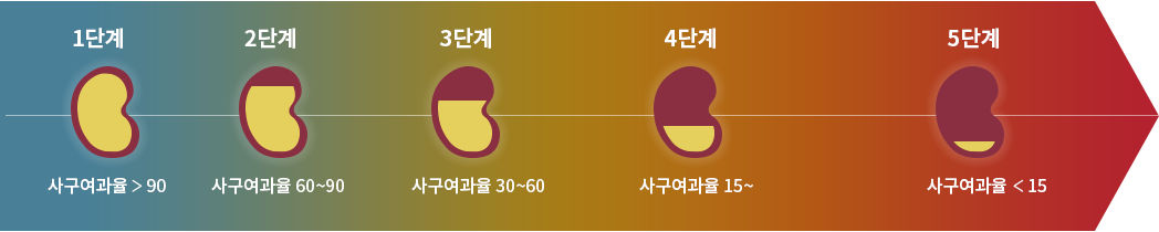 만성콩팥병의 5단계